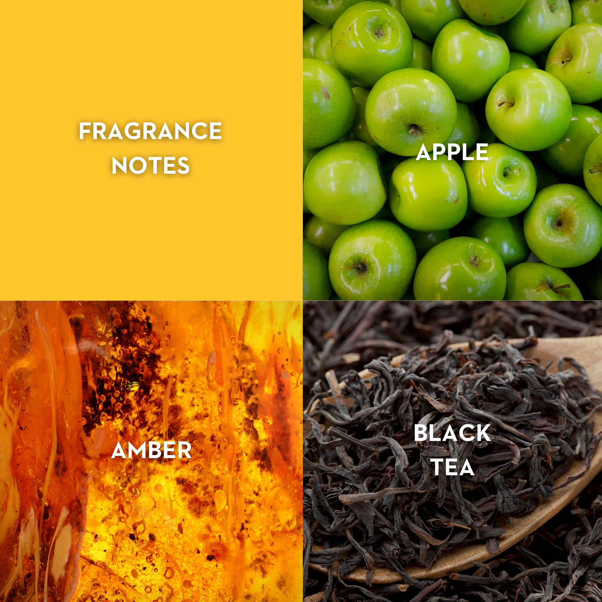 Vilhelm Parfumerie Dear Polly Eau de Parfum - Replica Handbags