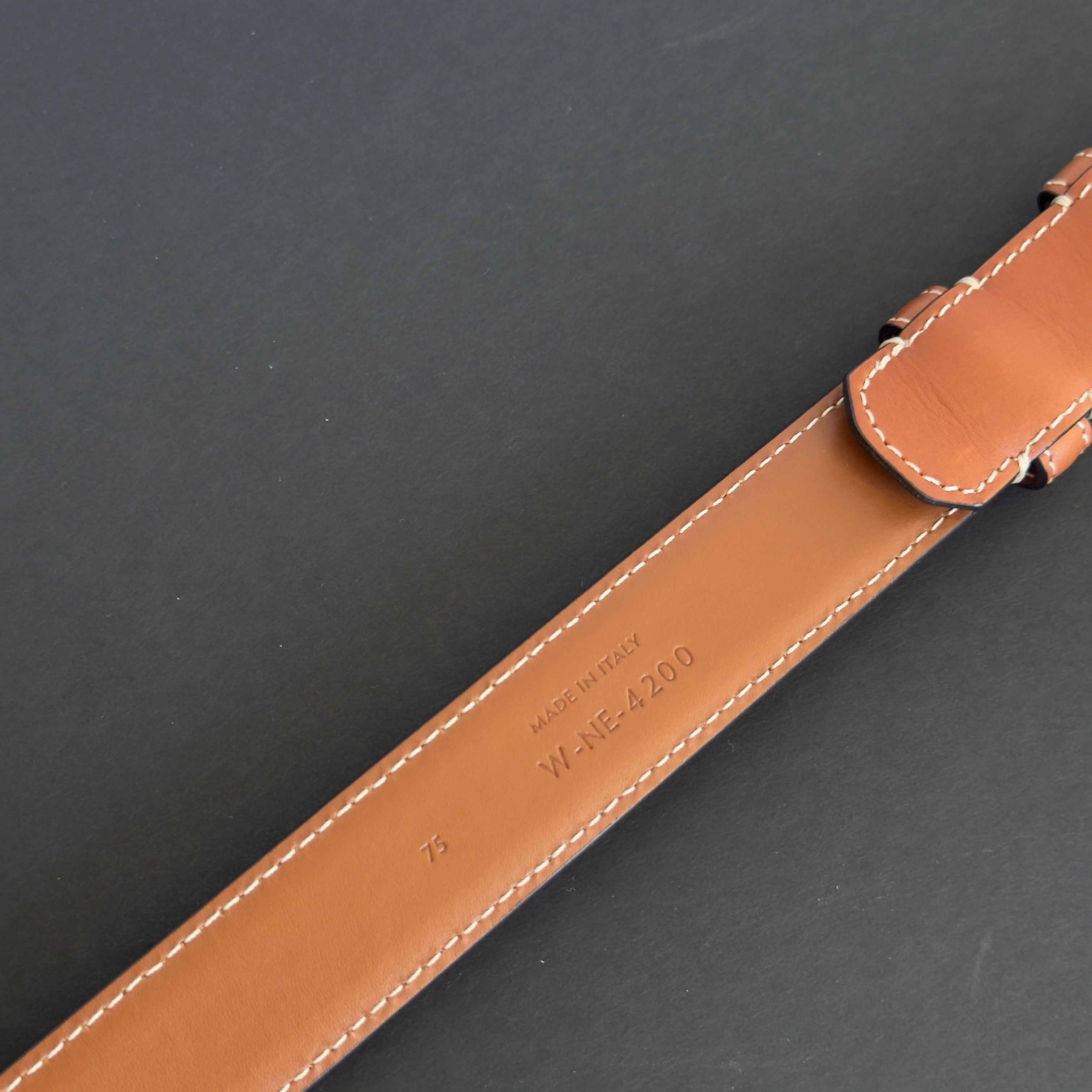 Celine Triomphe Medium Belt -  Replica Handbags 