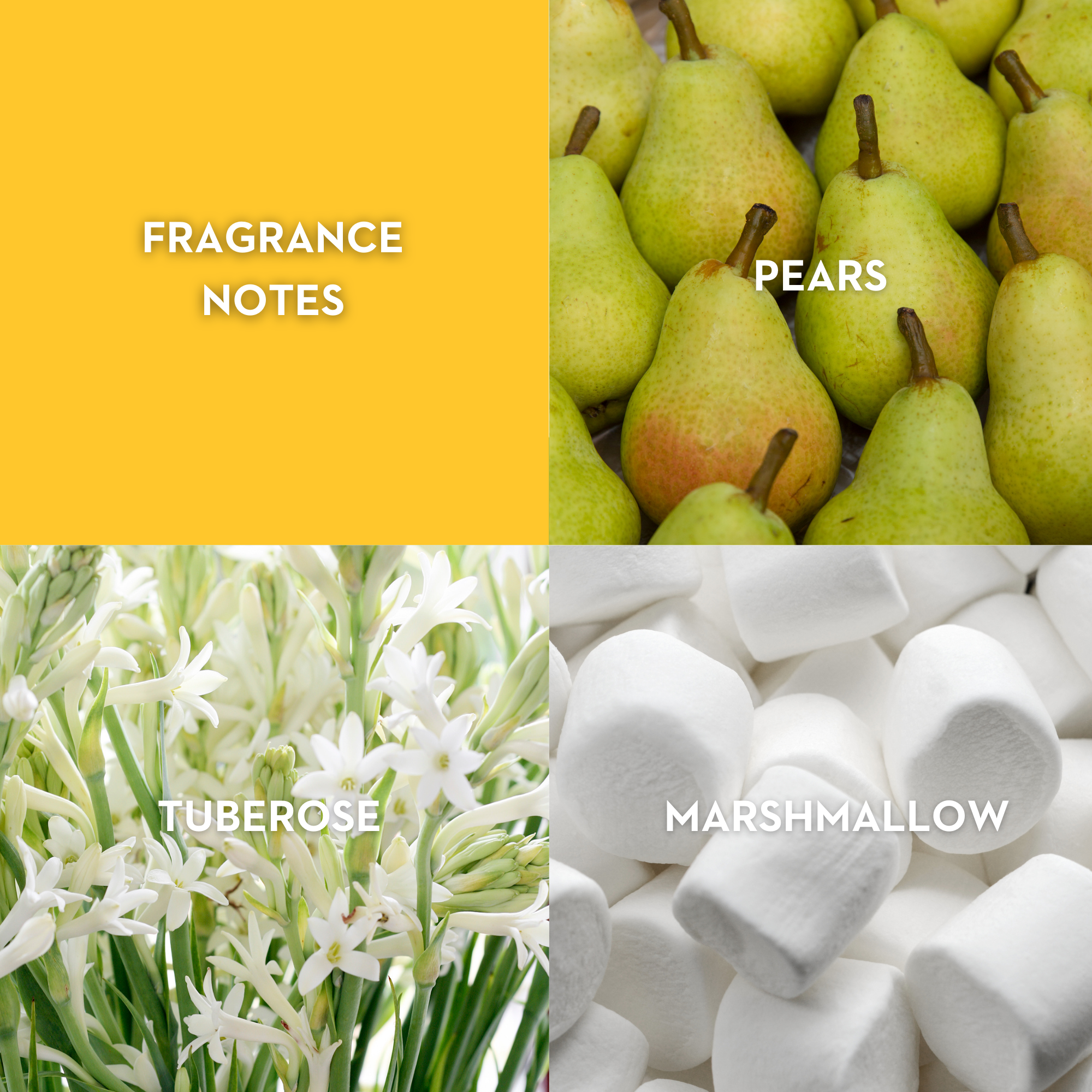 Vilhelm Parfumerie Moon Carnival Eau de Parfum -  Replica Handbags 