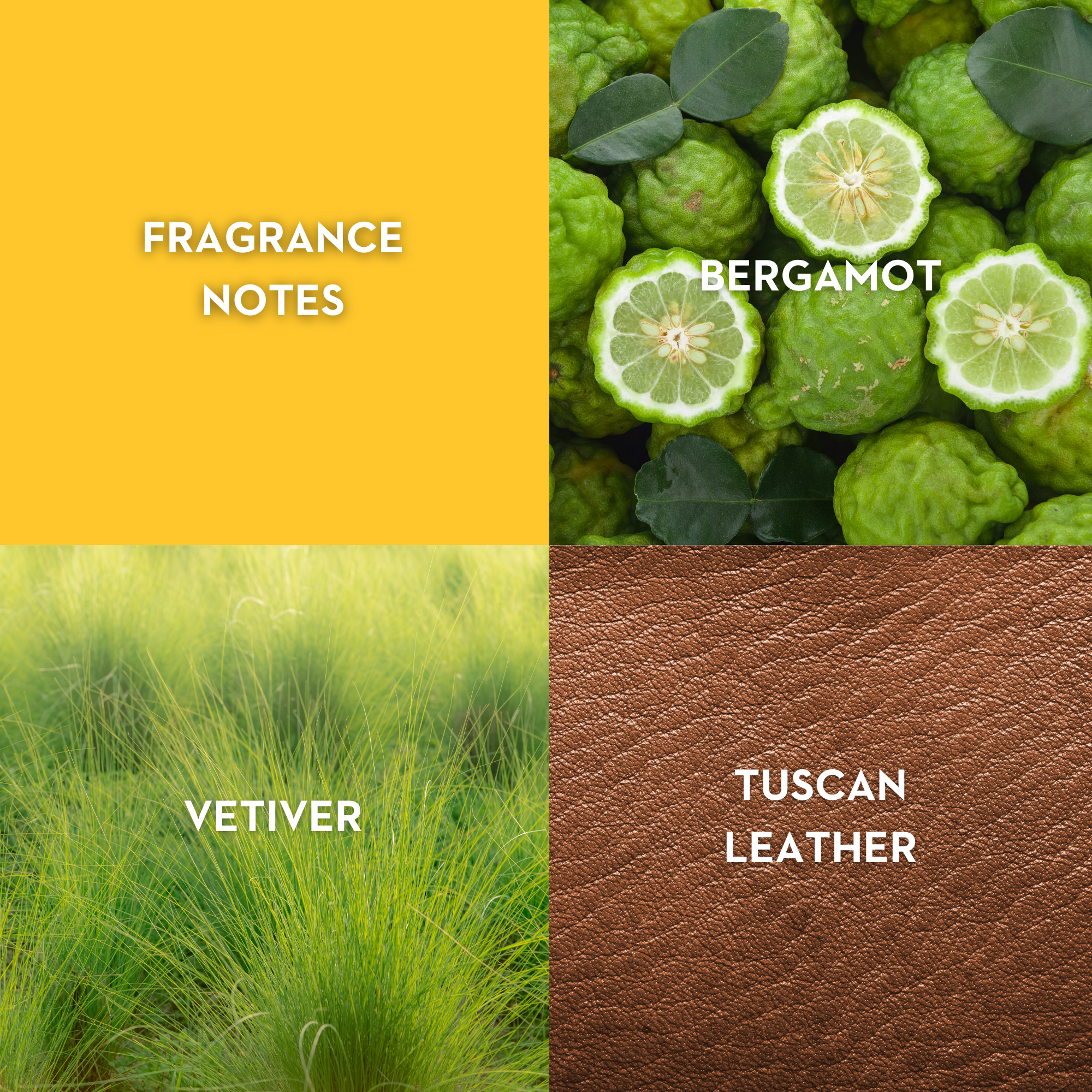 Vilhelm Parfumerie Morning Chess Eau de Parfum - Replica Handbags