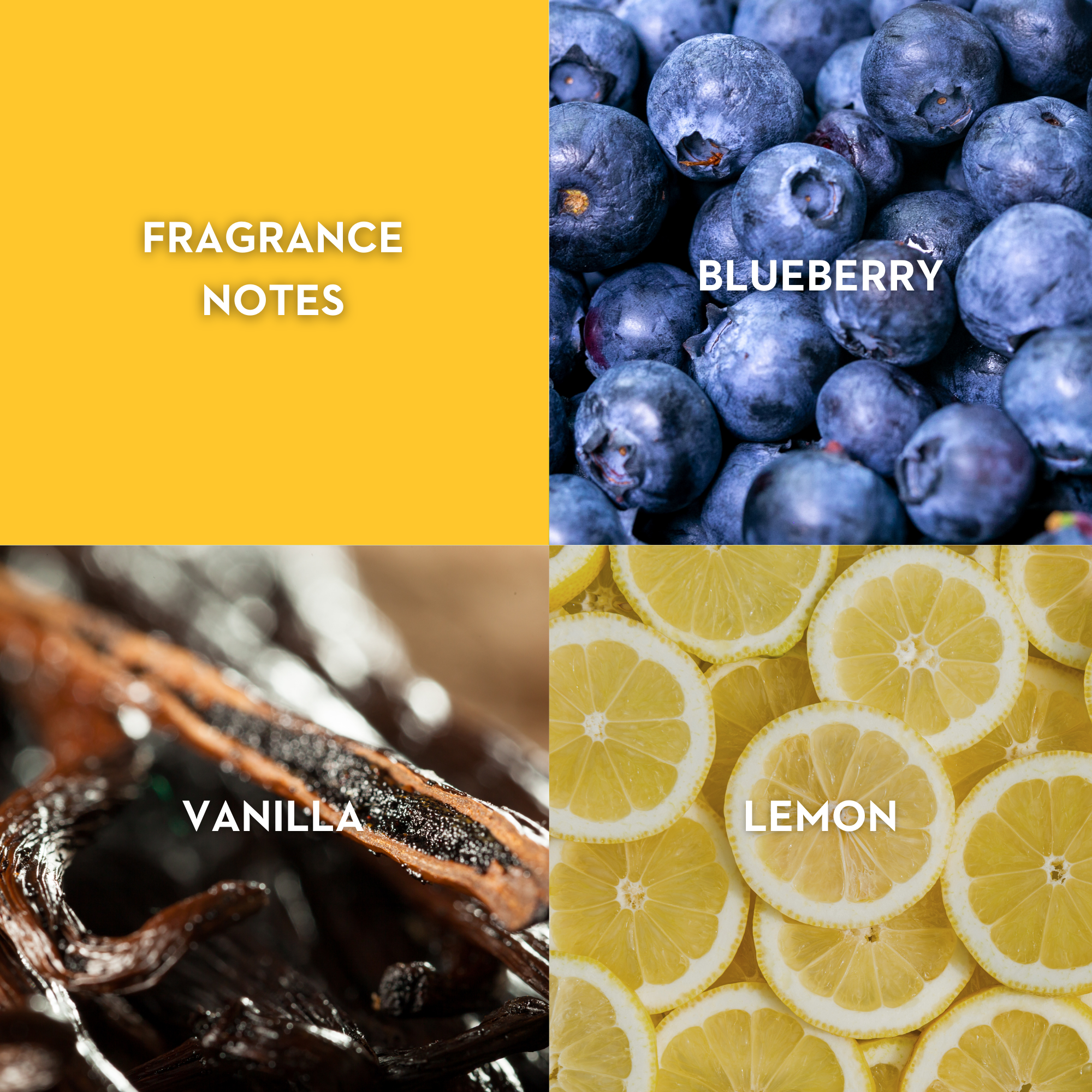 Vilhelm Parfumerie Poets of Berlin Eau de Parfum -  Replica Handbags 