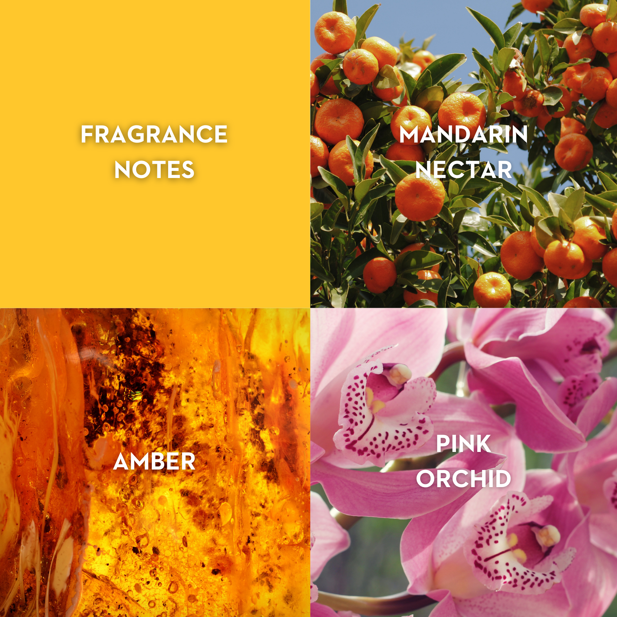 Vilhelm Parfumerie Room Service Eau de Parfum -  Replica Handbags 