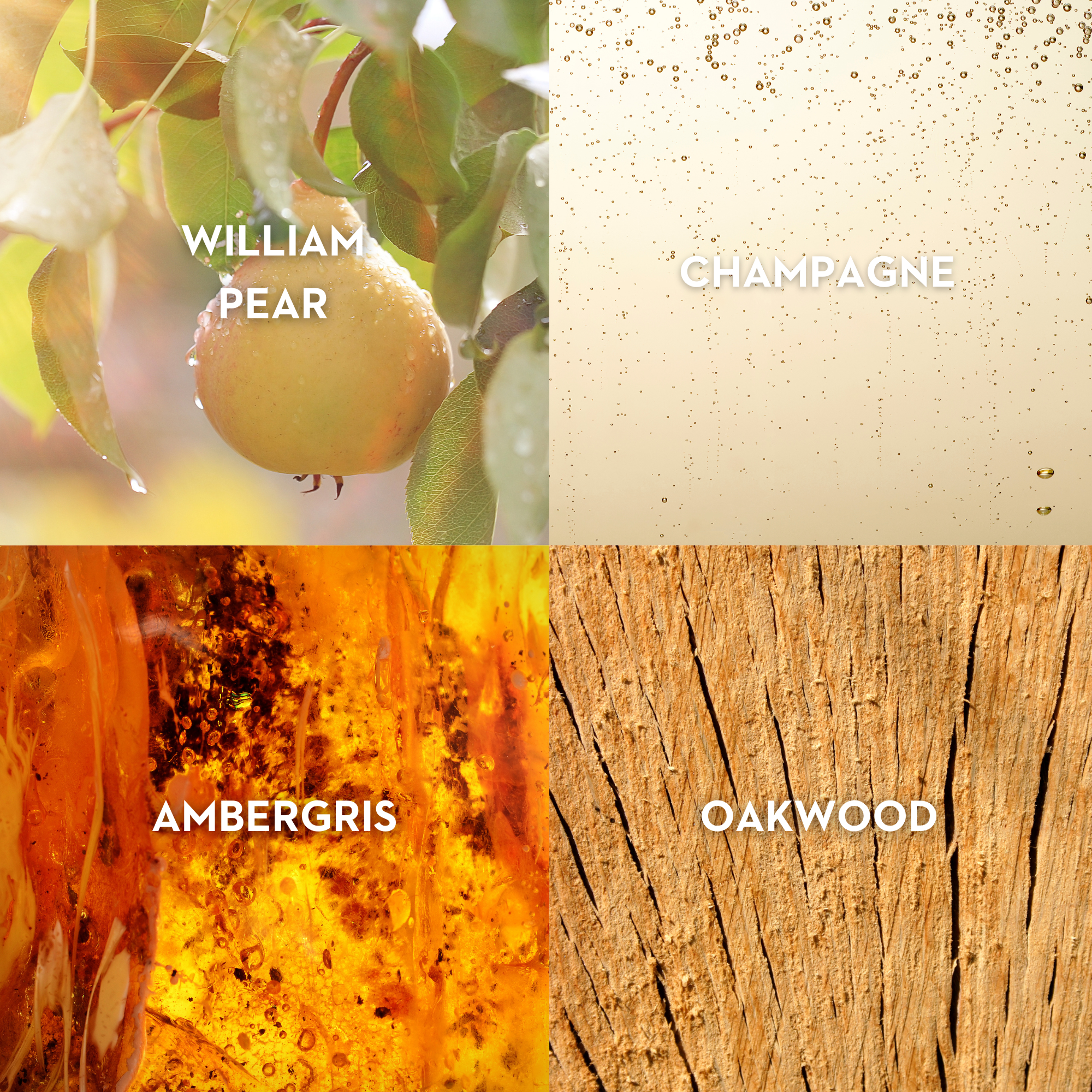 Vilhelm Parfumerie Sparkling Jo Eau de Parfum 50 ML - Replica Handbags