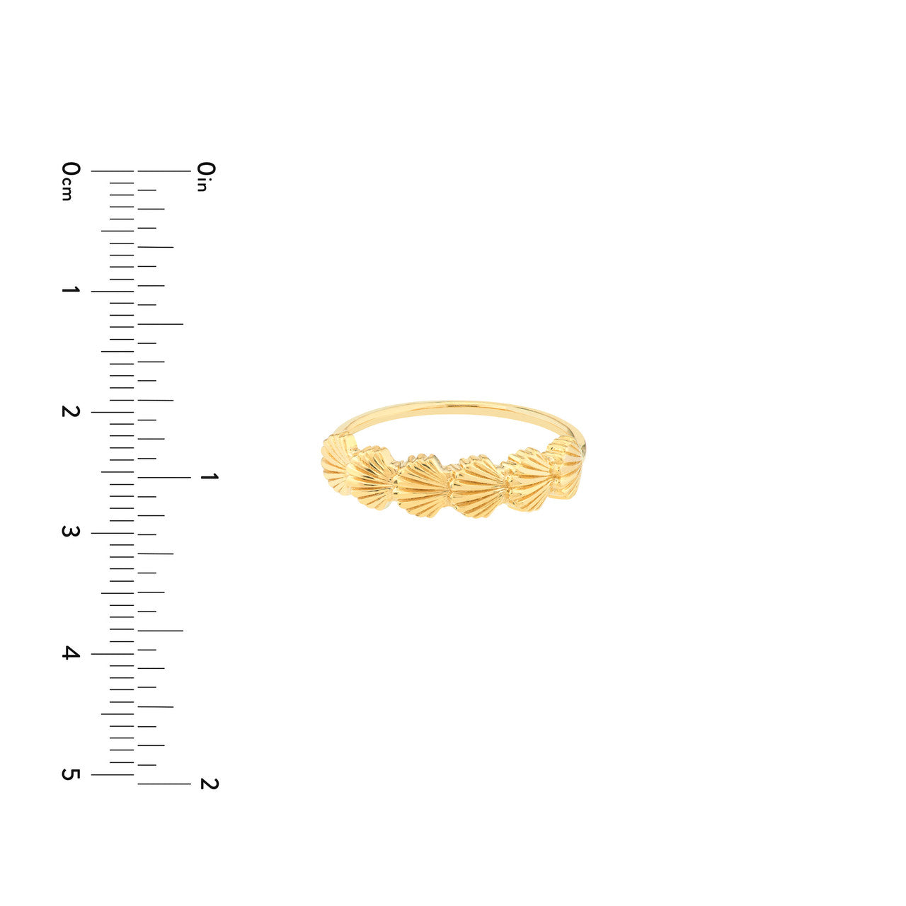 14K Yellow Gold Scallop Seashell Ring - Replica Handbags